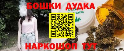 крисы Лесосибирск