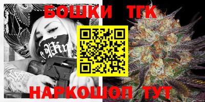 крисы Лесосибирск