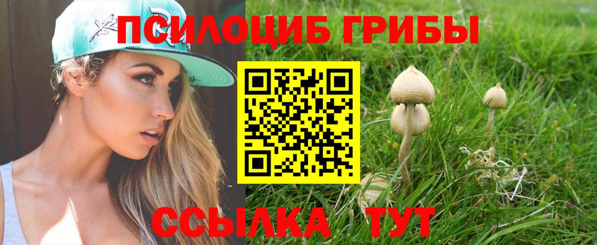 Галлюциногенные грибы мухоморы Джанкой